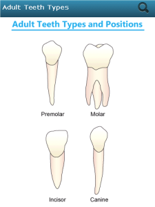 Dental_Reference-BB-App-3 | Fone Arena