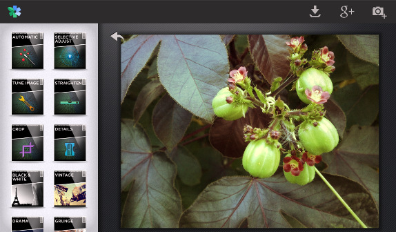 download snapseed for iphone