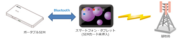 NTT Docomo Portable SIM function