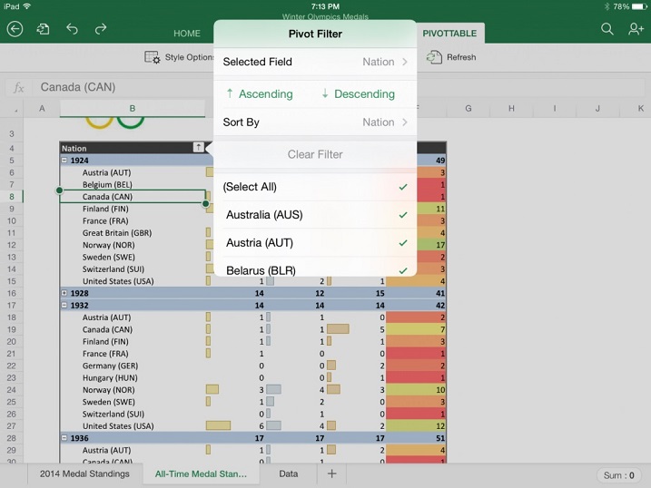 office iPad excel