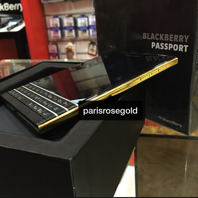 BB Passport gold (23