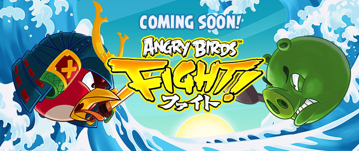 Angry birds fight