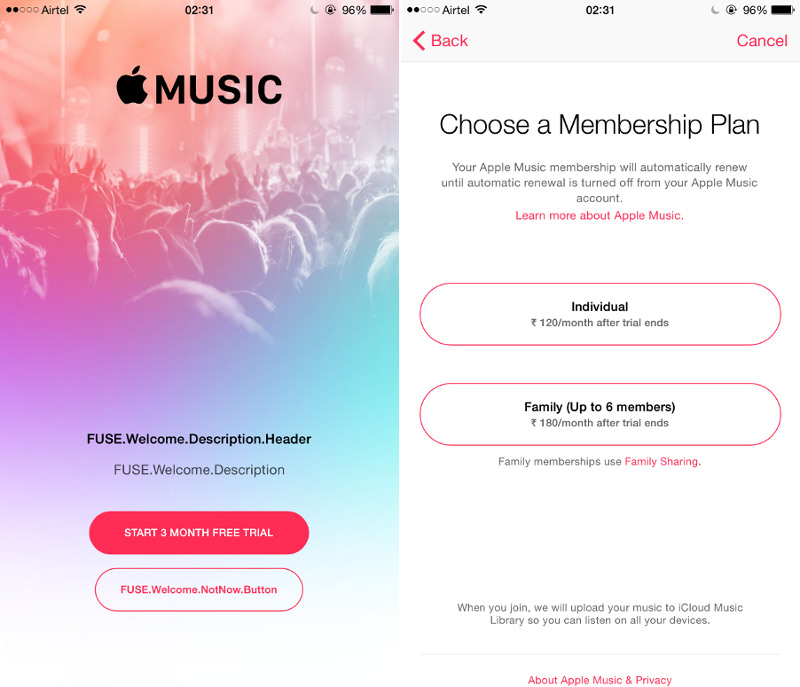 Apple Music India price