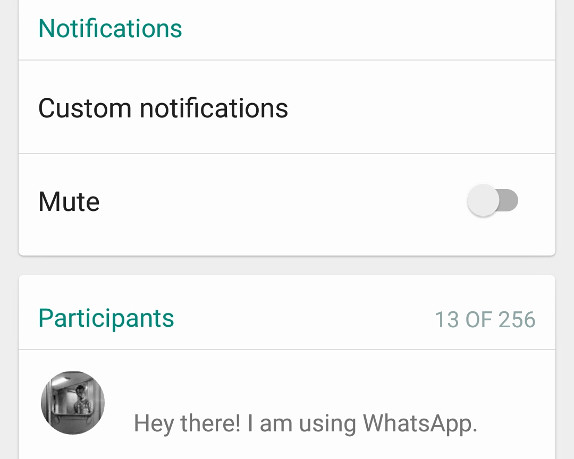 WhatsApp group limit 256