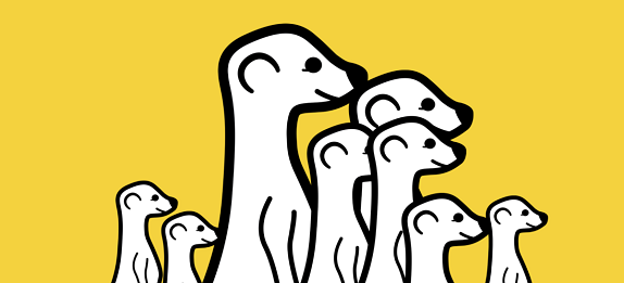 Meerkat app