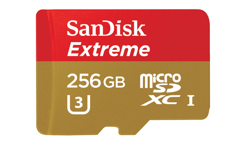 SanDisk Extreme microSDXC UHS-I 256GB