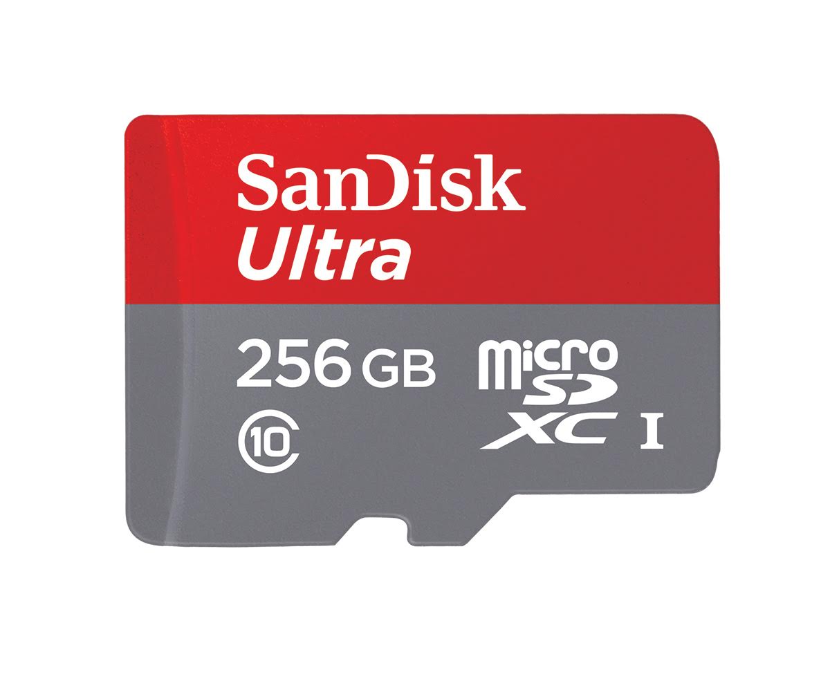 sandisk_256gb_microsd