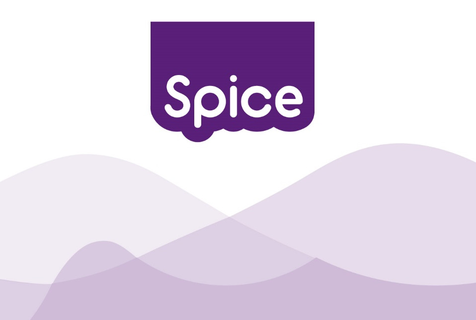 Spice logo