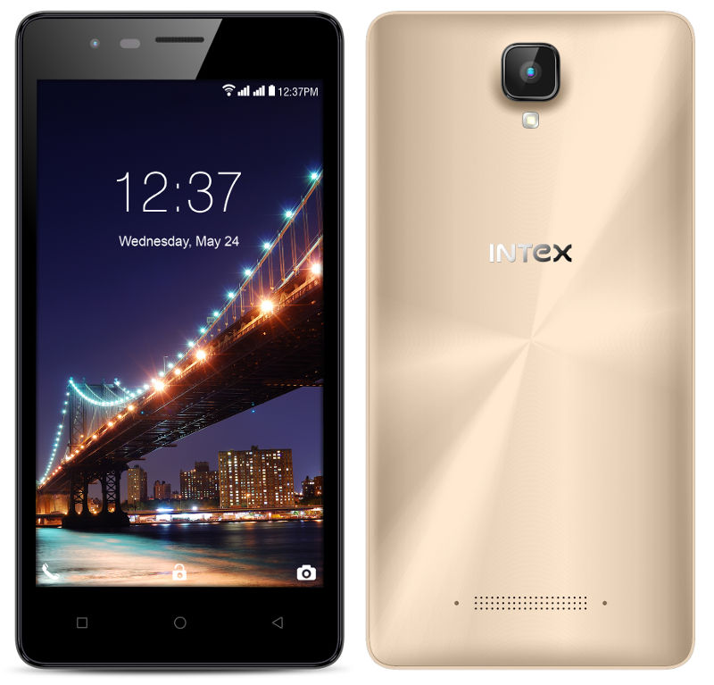 intex lions 2