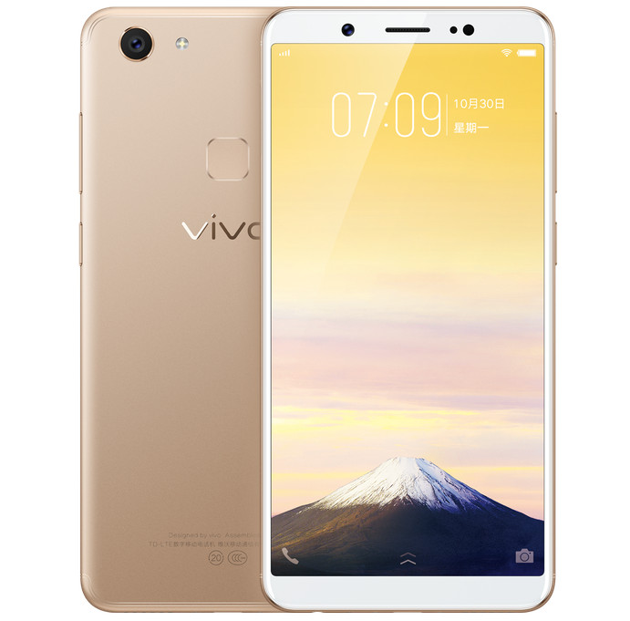 vivo y75 weight