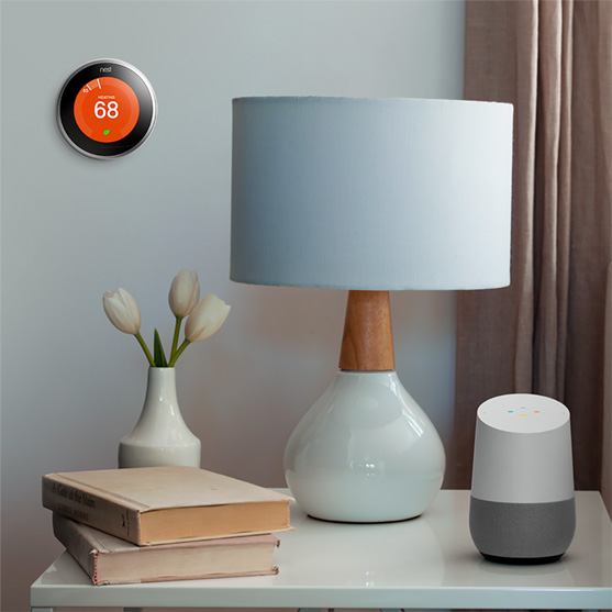 Google and Nest