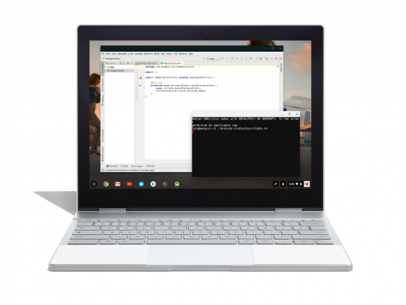 Chromebooks Linux