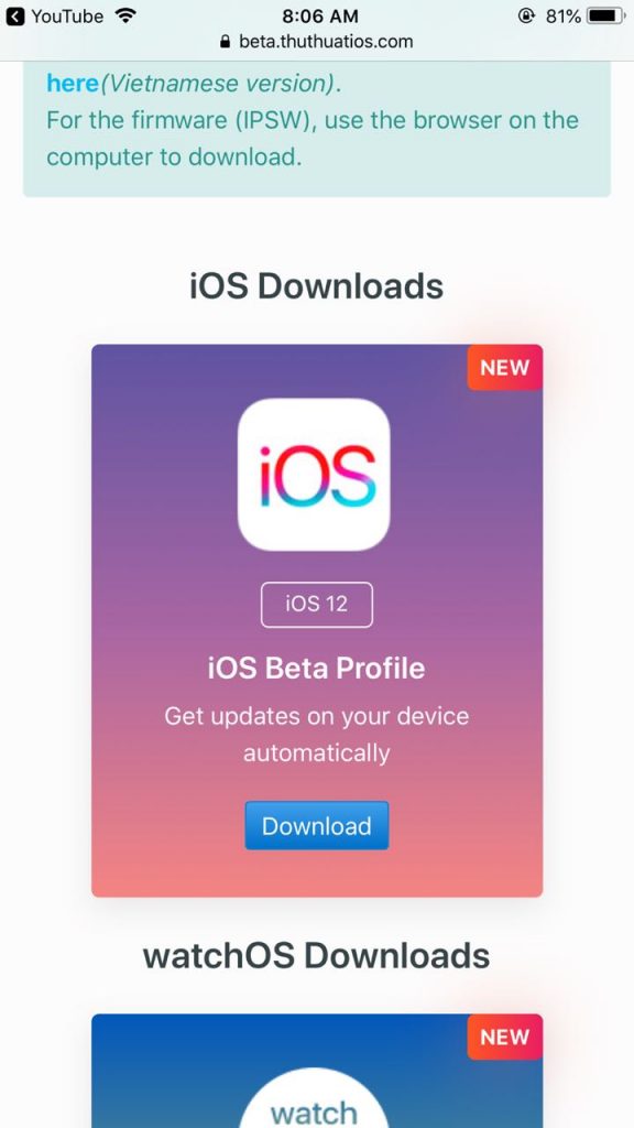 for ios instal AutoRuns 14.10