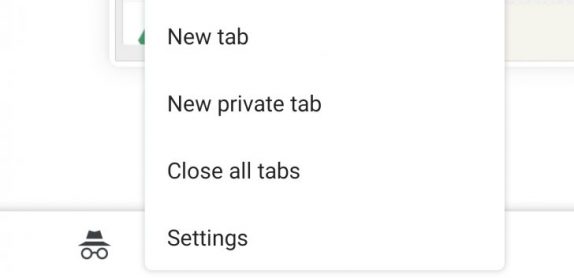 Google Chrome 'Private Mode'