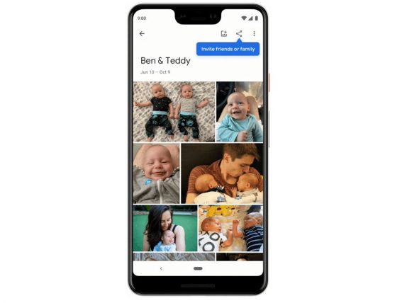 Google Photos Live Album