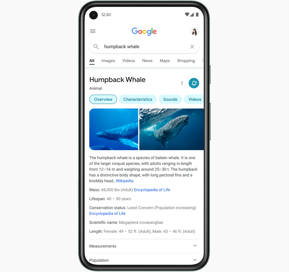 Google Search on mobile redesign to bring improved focus on information ...