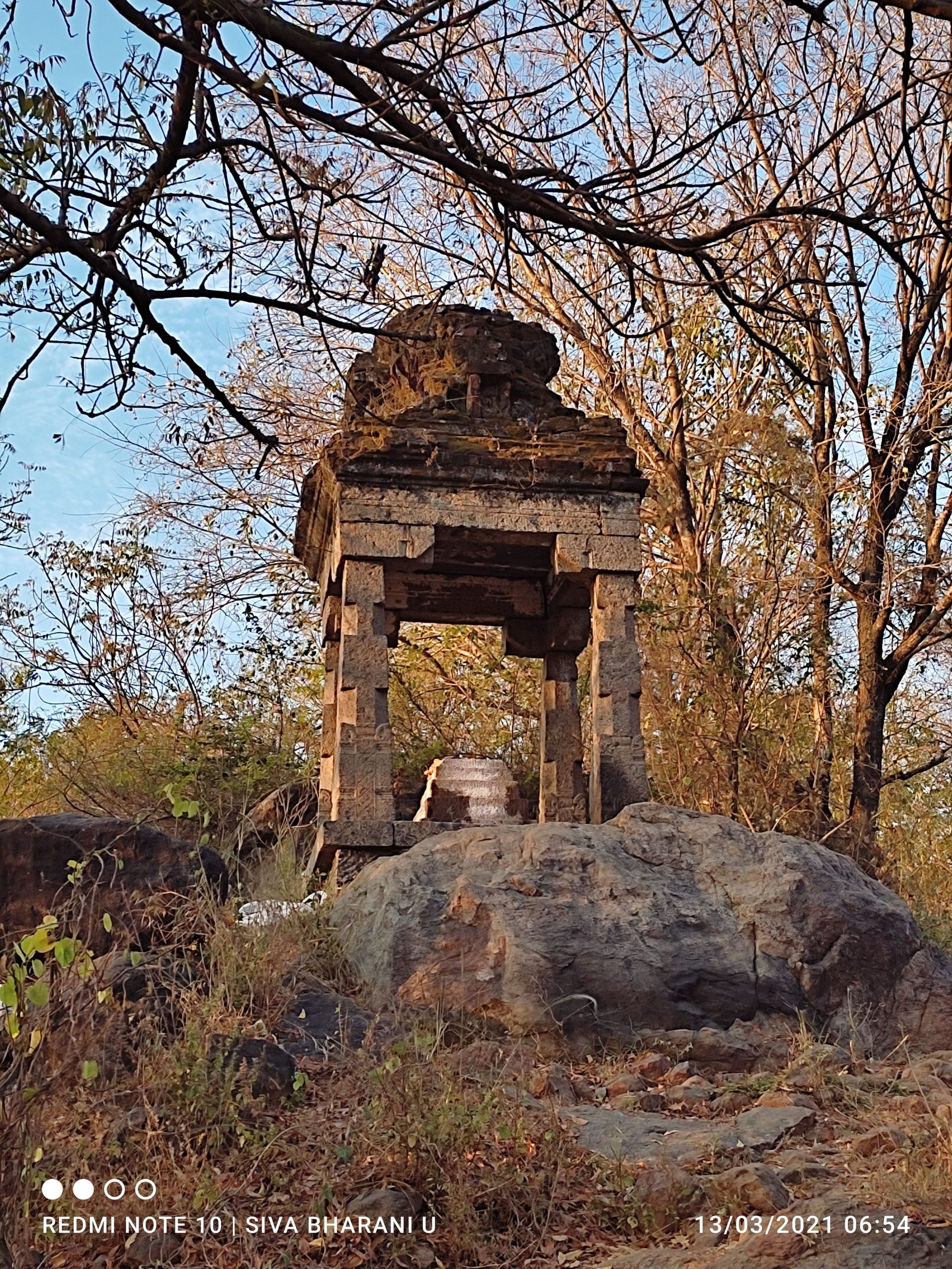 Redmi Note 10 Camera Samples TechBuzzProTechBuzzPro