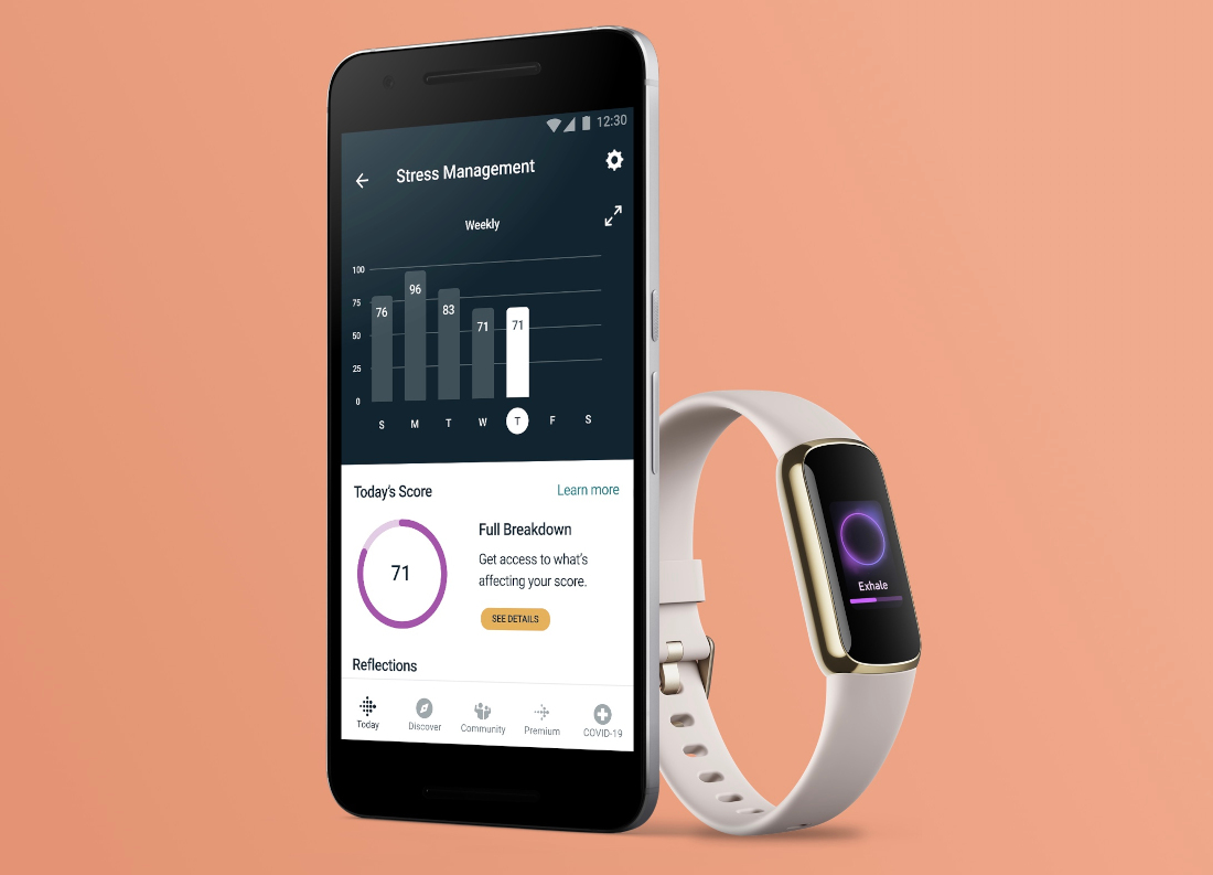 Fitbit Luxe: A Fashion-Forward Fitness and Wellness Tracker + New  Accessories - Fitbit Blog