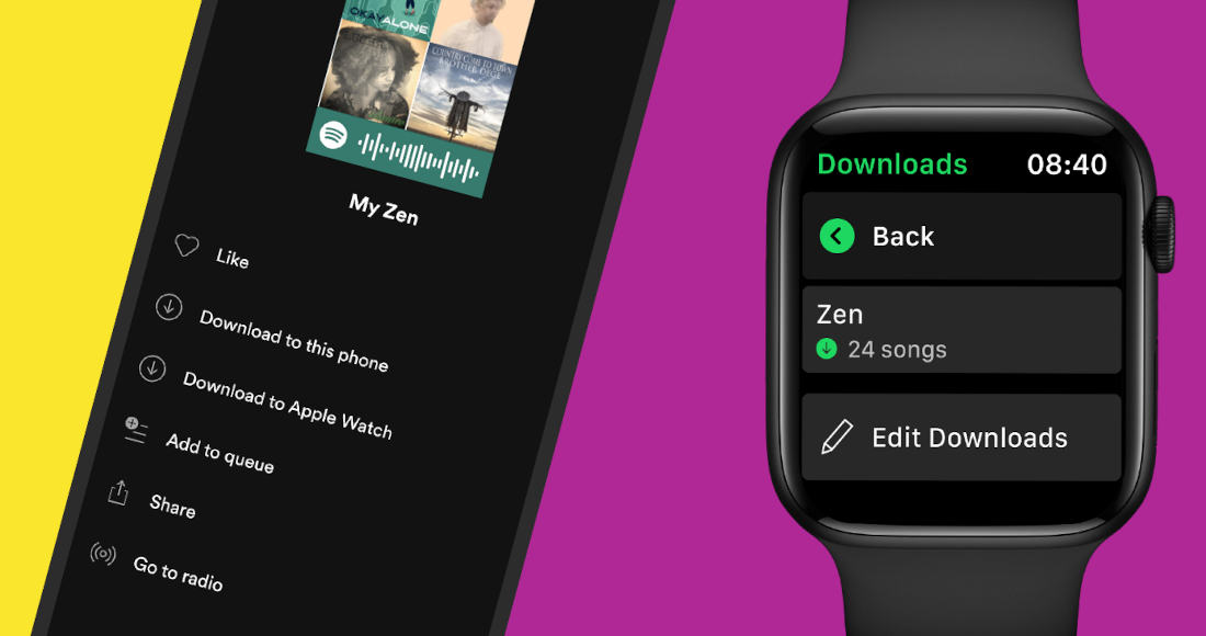 Spotify standalone apple watch on sale