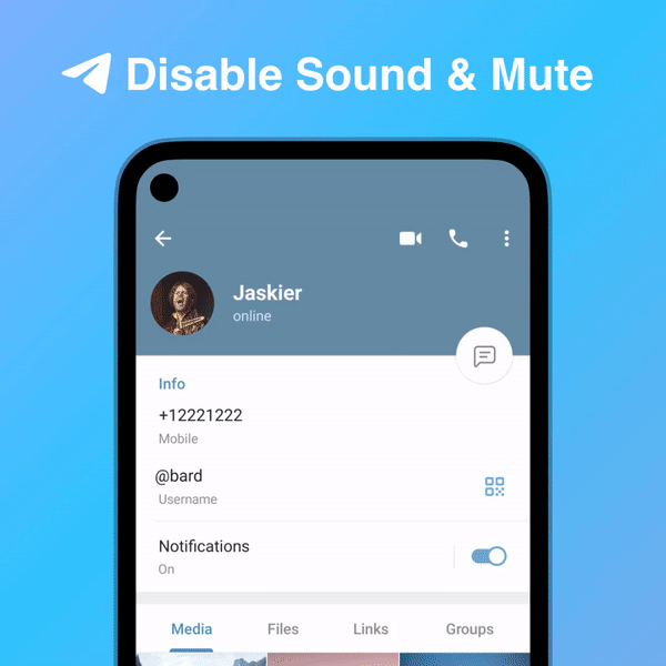 Disable Sound and Mute