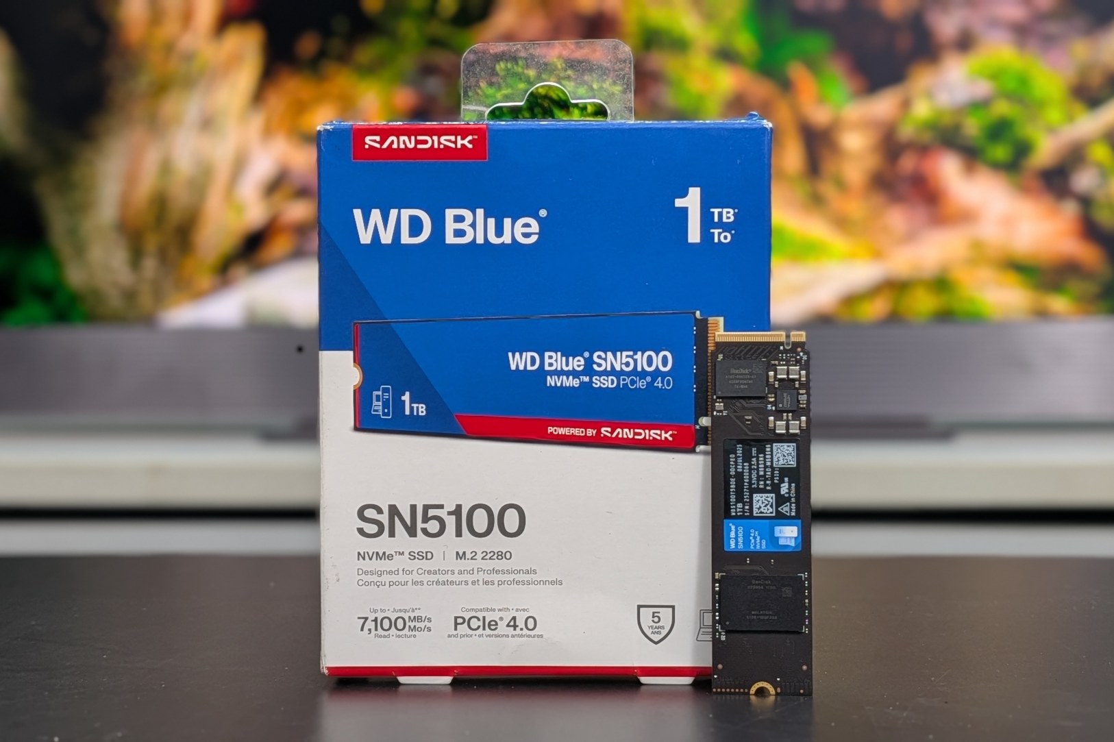 【新品】sandisk WD Blue SN5100 1TB NVMe SSD Amazon.co.jp: WD Blue SN5100 1TB NVMe SSD - M.2 2280 PCIe Gen 4.0