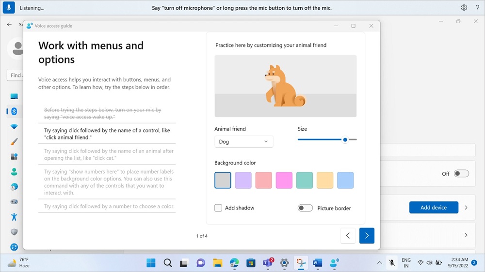 Windows 11 Voice access guide