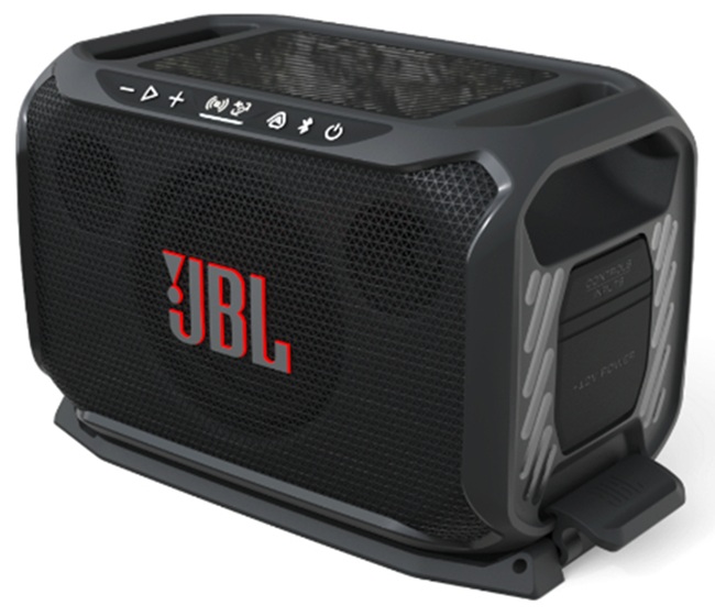 JBL BassPro Go2