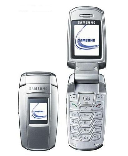 Samsung X300