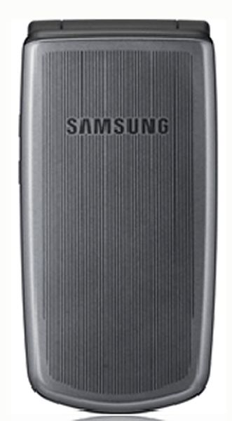 Samsung Guru 310R