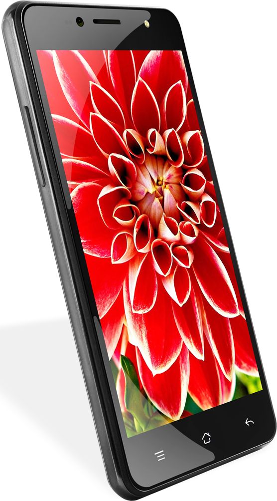 iberry Auxus Stunner