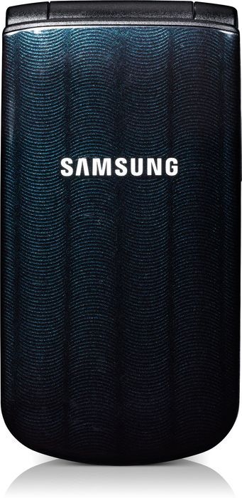 Samsung Guru 300