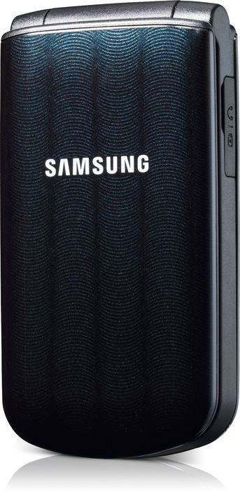 Samsung Guru 300