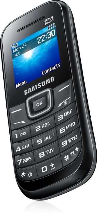 Samsung Guru 1205