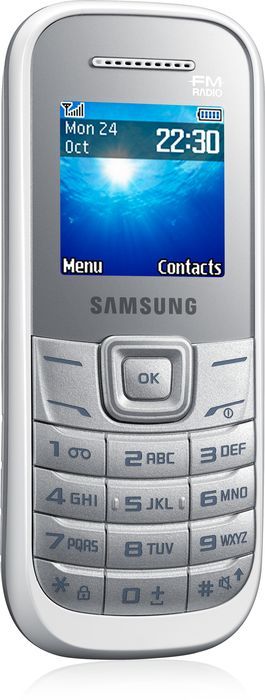 Samsung Guru 1205