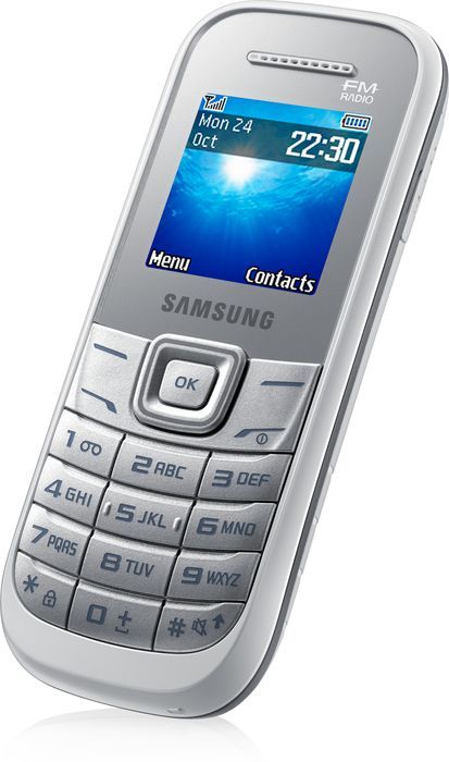 Samsung Guru 1205
