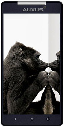 iberry Auxus Xenea X1